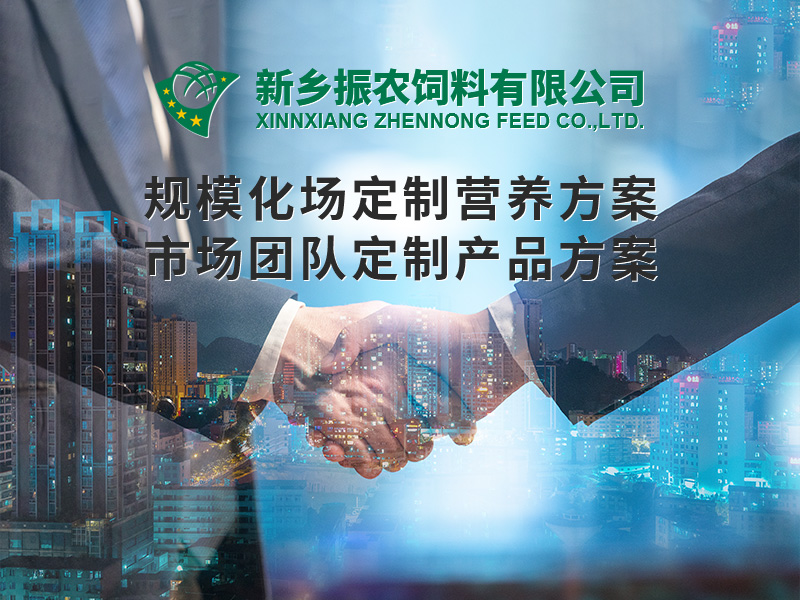 規(guī)?；喼?></div>
                                    <span id=